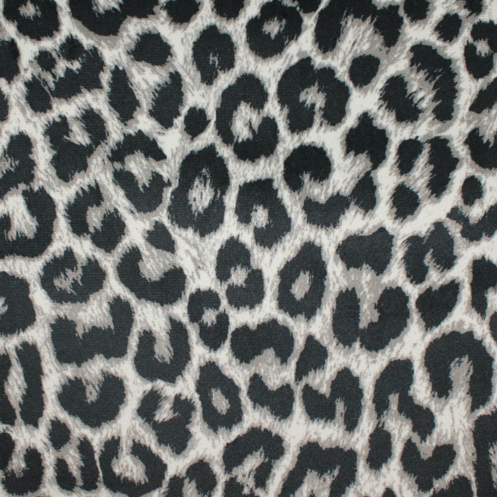 SERENGETI