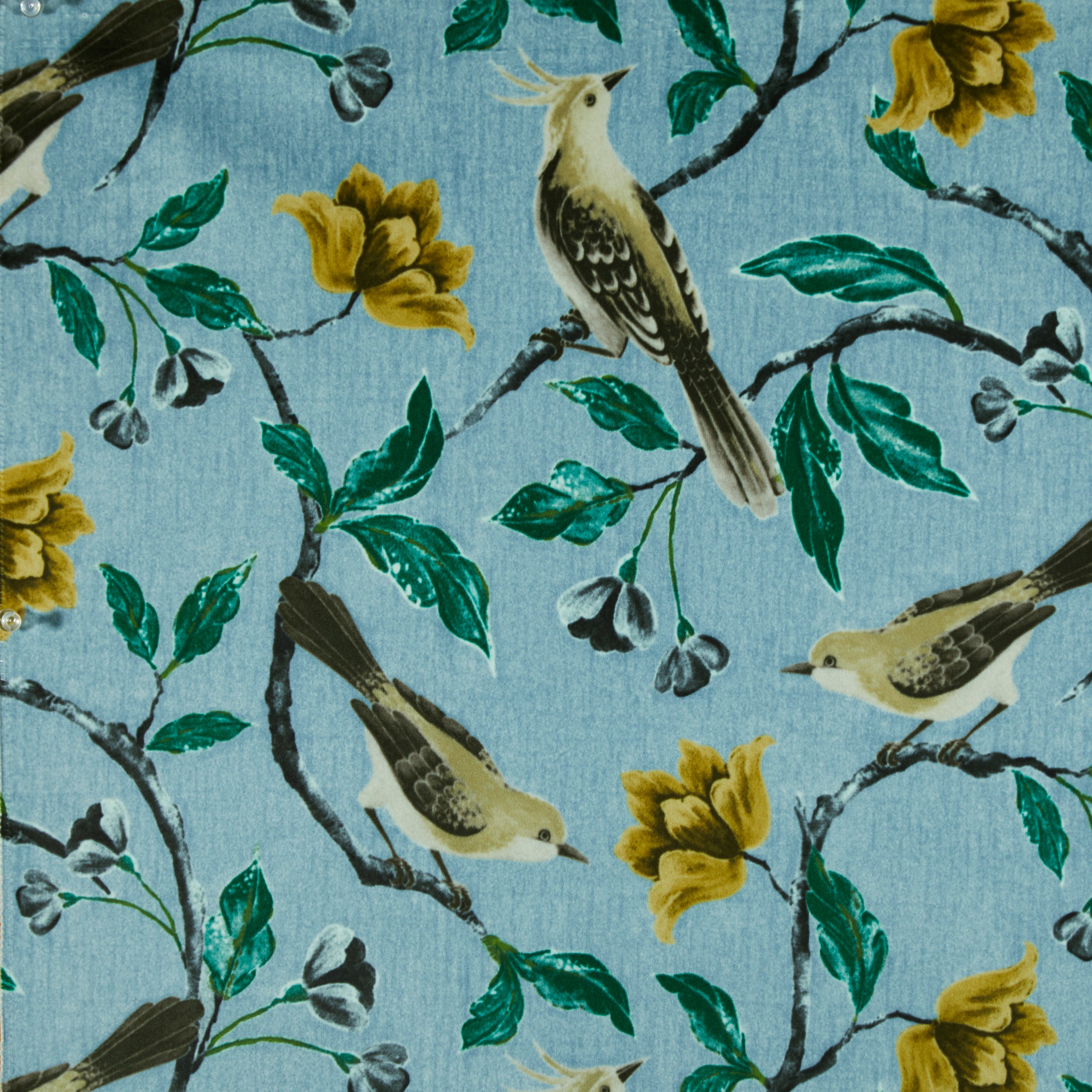 SPARROW